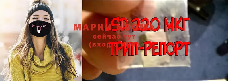 закладка  Грязовец  Марки 25I-NBOMe 1,8мг 